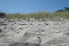cape-cod-beach-sand