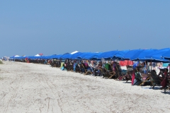 coligny-beach-hilton-head-umbrellas
