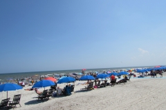 coligny-beach-hilton-head-umbrellas2