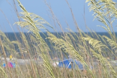 hilton-head-dunes