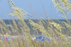hilton-head-dunes