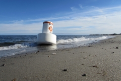 jennings-beach-buoy