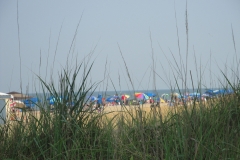 rehoboth-beach-delaware-dunes