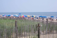 rehoboth-beach-delaware-umbrellas