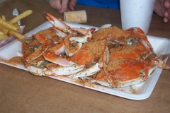 delaware-crabs
