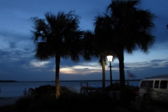 harbour-town-evening-palms