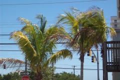 ocean-city-maryland