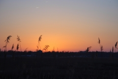 milford-connecticut-housatonic-river-sunset