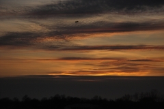 sunset-st-marys-bridgeport-ct