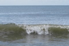 hilton-head-surf-south-carolina