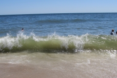 more-delaware-shore-waves