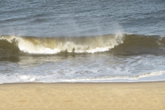 rehoboth-after-hurricane