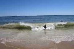 rehoboth-beach-de-surfs-up