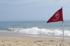 rehoboth-beach-shore-wave-and-flag
