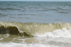 surf-in-rehoboth-beach-2019